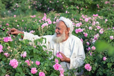 Private Day Tour of Oman's Natural Wonders in Nizwa, Jabel Akhdar