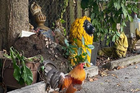 Little Havana Walking Tour for History Buffs