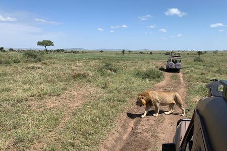 04 Days Tarangire, Serengeti and Ngorongoro crater group (Camping