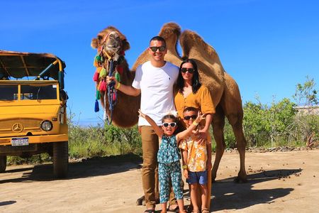 Camel riding experience on the shores of the Pacific Ocean