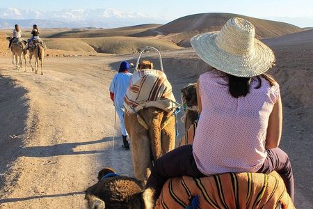 (including pick-up) Camel Rides, Quad Bikes, and diner in Agafay 