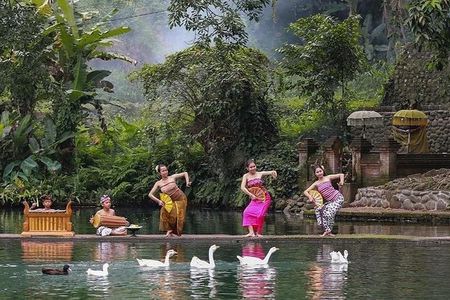 Sangeh Monkey Forest, Jatiluwih & Batukaru Temple Tour