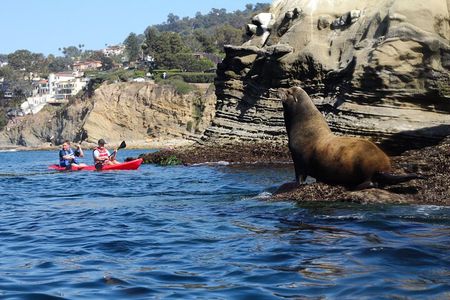 La Jolla Kayak Rental