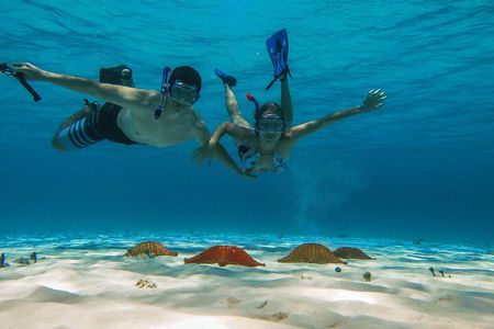 Palancar, Columbia and El Cielo Cozumel Snorkeling Tour