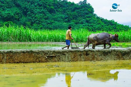  2 Day Private Guided Tour in Pu Luong Nature Hanoi