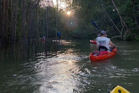 Kayak Mangrove Tour in Manuel Antonio 