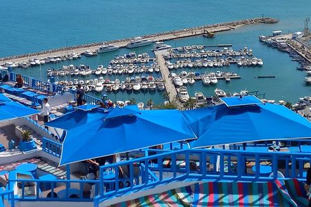 Tunis Highlights Private Day Tour Carthage Bardo & Sidi Bou Said 