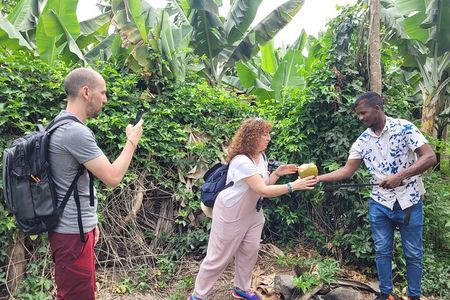 Banana Plantation / Black Sand Beach Experience