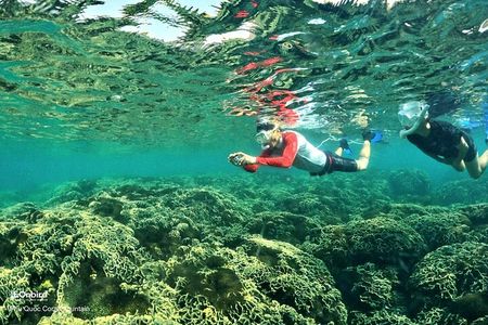 PRO-SNORKELING to Explore Hidden Coral Reefs (MAX 12 PAX)