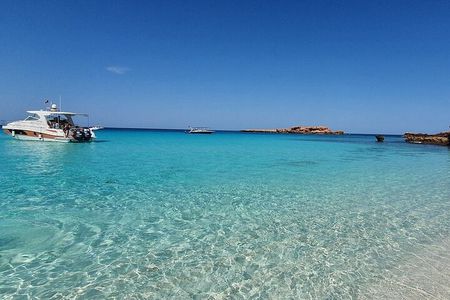 Full Day Dimaniyat Island Excursion