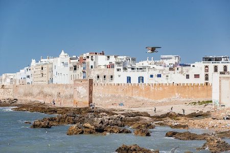 Private day trip to Essaouira Mogador from Marrakech