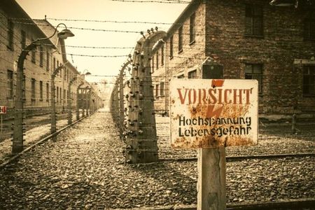 From Warsaw: Krakow and Auschwitz Day Tour by Train