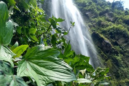 La Chorrera Cloud Forest & Waterfall Hike