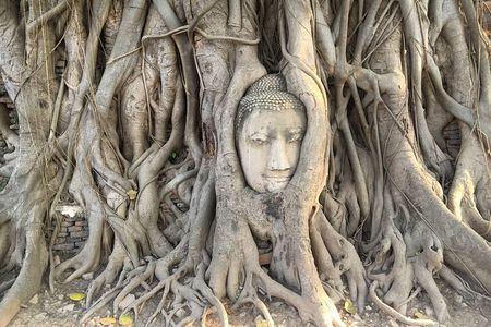 Private Ayutthaya Famous Temples Tour From Bangkok