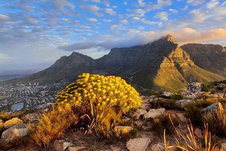 Hiking Lion's Head Sunrise or Sunset 