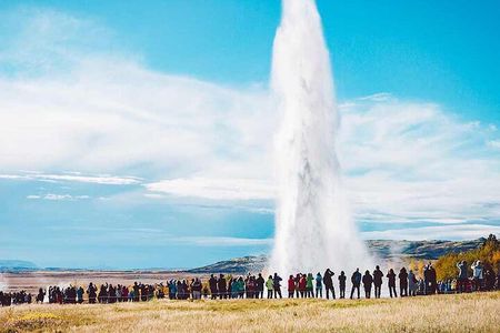 Golden Circle & Friðheimar Experience: Private Farm & Wonder Tour