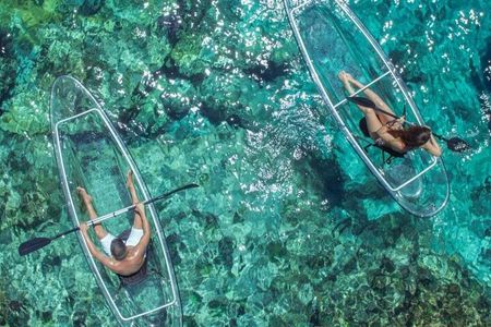 Mangrove Cay Tour
