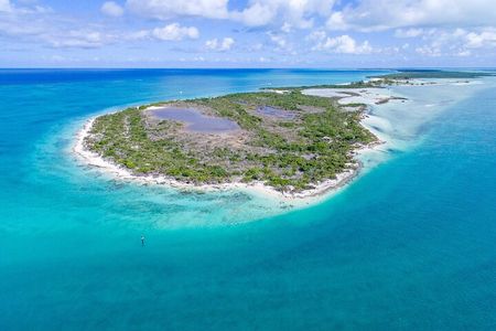 Mangrove Cay and Iguana Island Tours