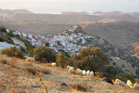 Private 2-Day Tour in Kea Island and Meet the Lion