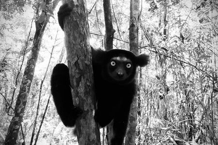 Private Nature and Discovery Tour in Madagascar