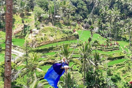 Ubud Private Tour – Best Full-Day All-Inclusive Package