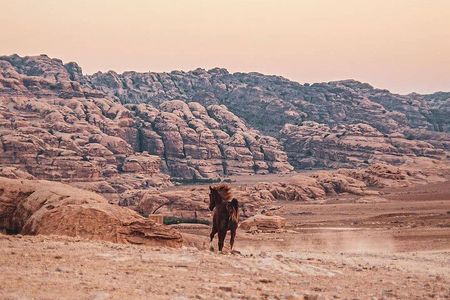 3 Hour Horse Riding Adventure around the Petra Area
