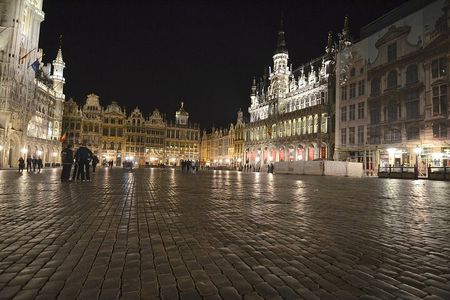 Brussels : Private Walking Tour with A Guide (Private Tour)