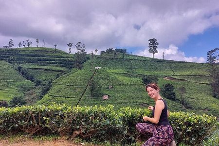 Private Nuwara Eliya City Tour Including Main Attractions