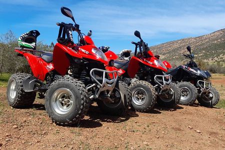 Camel riding including Couscous lunch and Quad biking