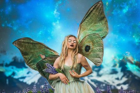 Become a Fairy Princess for the day