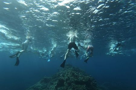 Guided Snorkeling Excursion in Malta