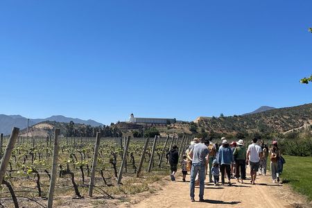 Full Day Private Tour in Casablanca Valparaíso and Viña del Mar