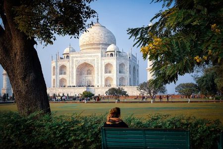 3 Days and 2 Nights Taj Mahal from Cruise to Shore Excursions