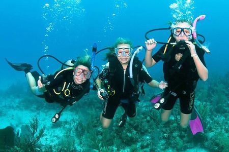 Scuba Diving Activity in Dubai with Hotel Pickup