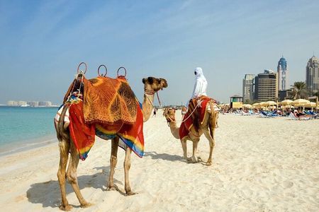 Dubai : Private Custom Walking Tour with A Guide (Private Tour)