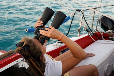 6hrs of Sailing in Bacalar Lagoon: discover Cenotes, Islands and Stromatolites.