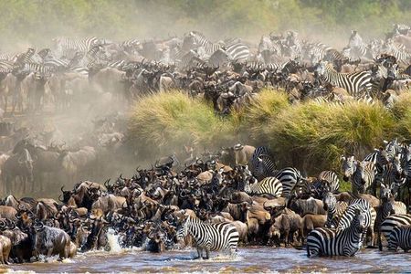 Maasai Mara 3 Day Guided Tour