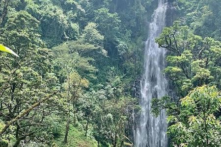 Materuni Waterfalls, Kikuletwa Chemka Hot springs, Coffee tour