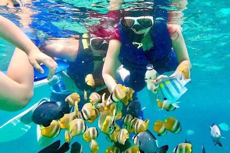Blue lagoon and tanjung jepun snorkling all inclusive