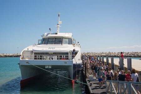 Full-Day Private Robben Island, Penguins & Cape of Good Hope Tour