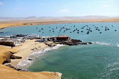 Ballestas Islands and Paracas Reserve Tour from Puerto San Martin