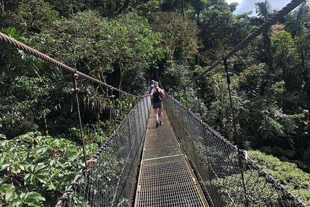 2-Hour Private Místico Hanging Bridges Naturalist Walk