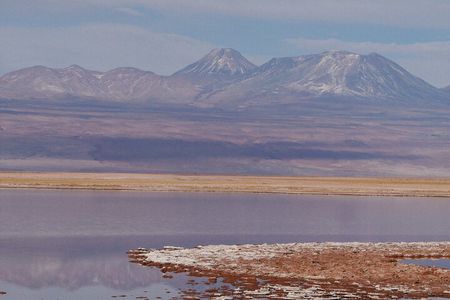 Tour to Laguna Cejar, Ojos del Salar and Laguna Tebinquiche