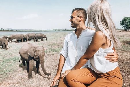 Majestic Mammals Of Sri Lanka: Whale & Elephant Safari Tour 