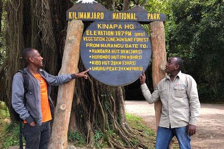 6 Hours Kilimanjaro Day Hike to Mandara Hut and Maundi Crater 