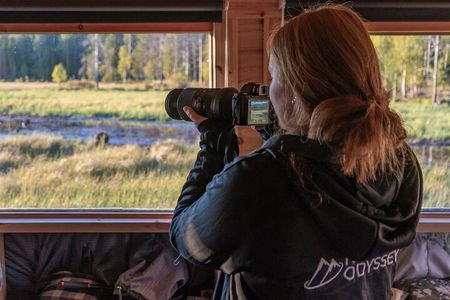 Bear and Arctic Animals 2 Day Trip from Rovaniemi