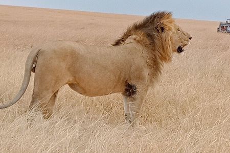Private 6-Days Tour Exploring in Amboseli & Nakuru National Park