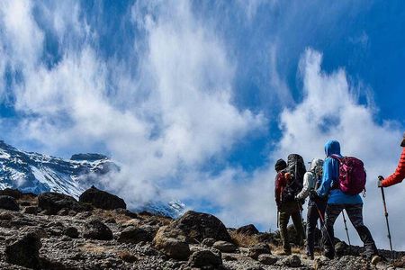 Private Full Day Tour to Kilimanjaro National Park