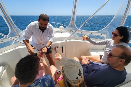 Private Fishing & Scenic Cruise – Viking 46ft Yacht | Panama Bay