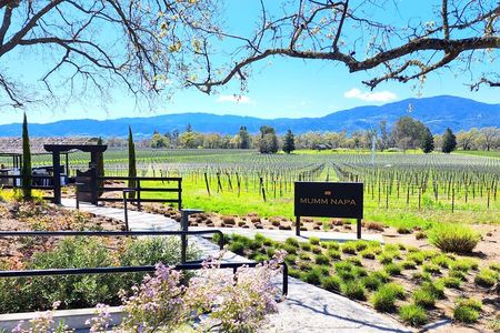 Sonoma and Napa Champagne Wine Private Tour Half Day 
